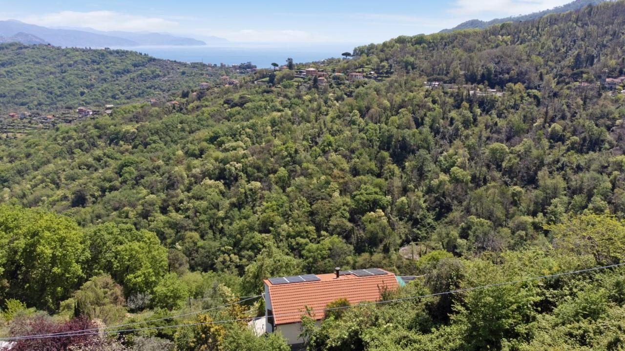 Fattorialmare Blu Lägenhet Camogli Exteriör bild
